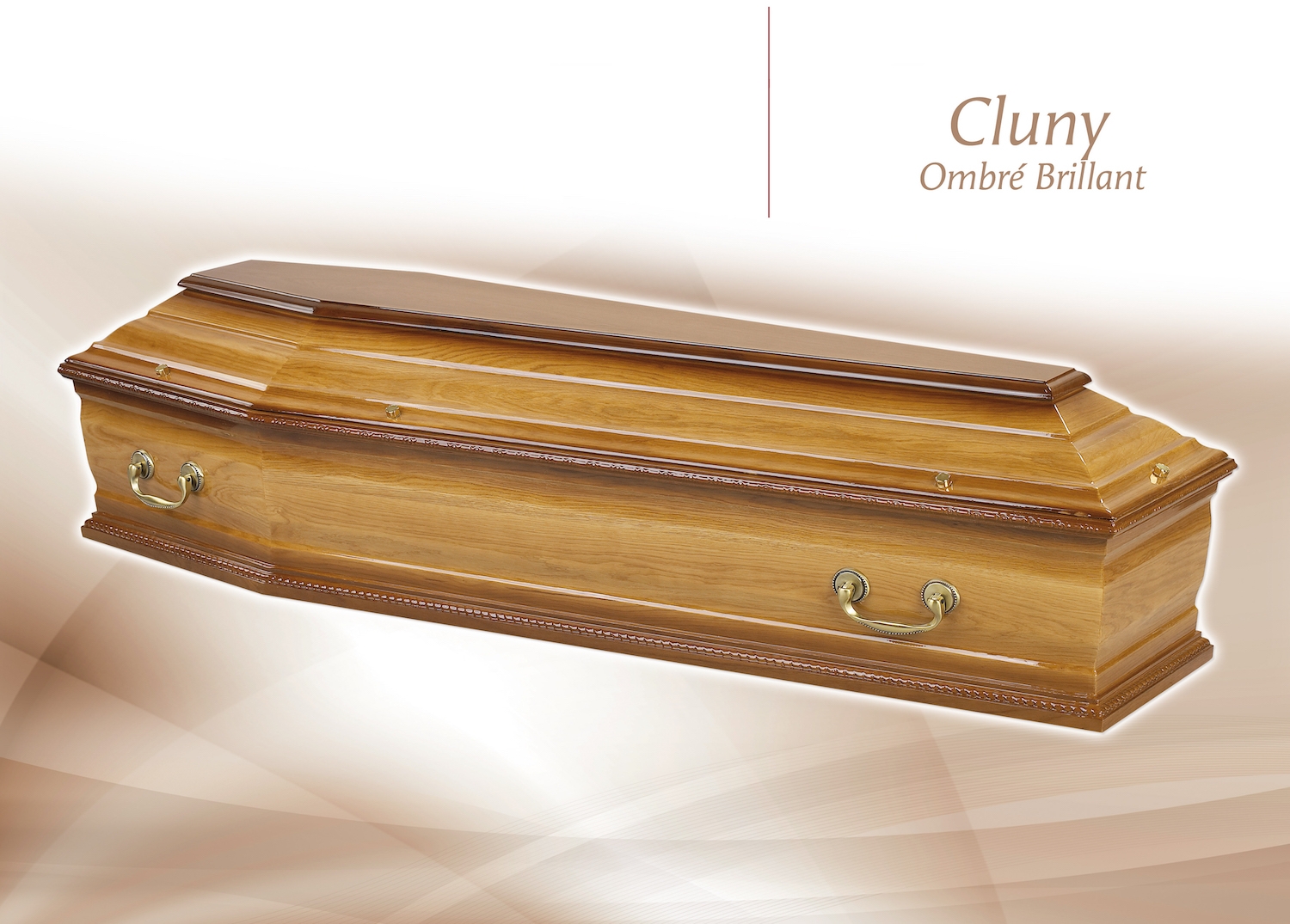 Cercueil Cluny ombre brillant